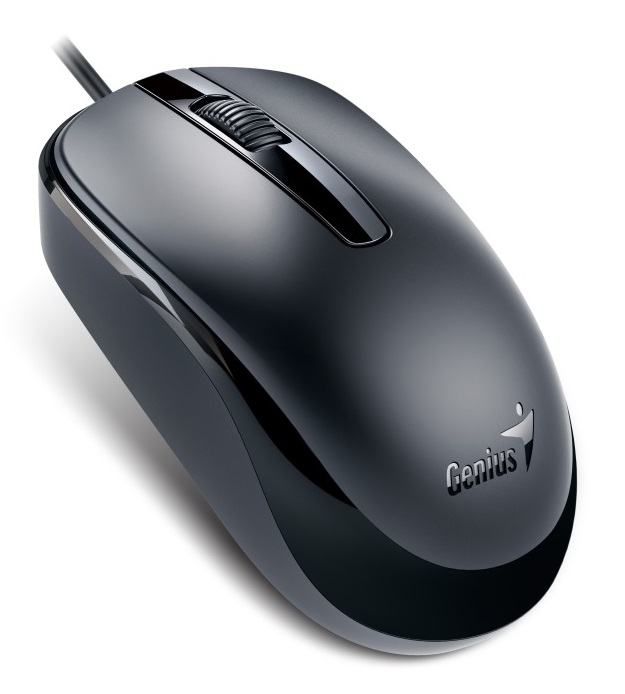 Genius - Mouse s Pad - Genius DX-120 USB vezetkes optikai egr, fekete